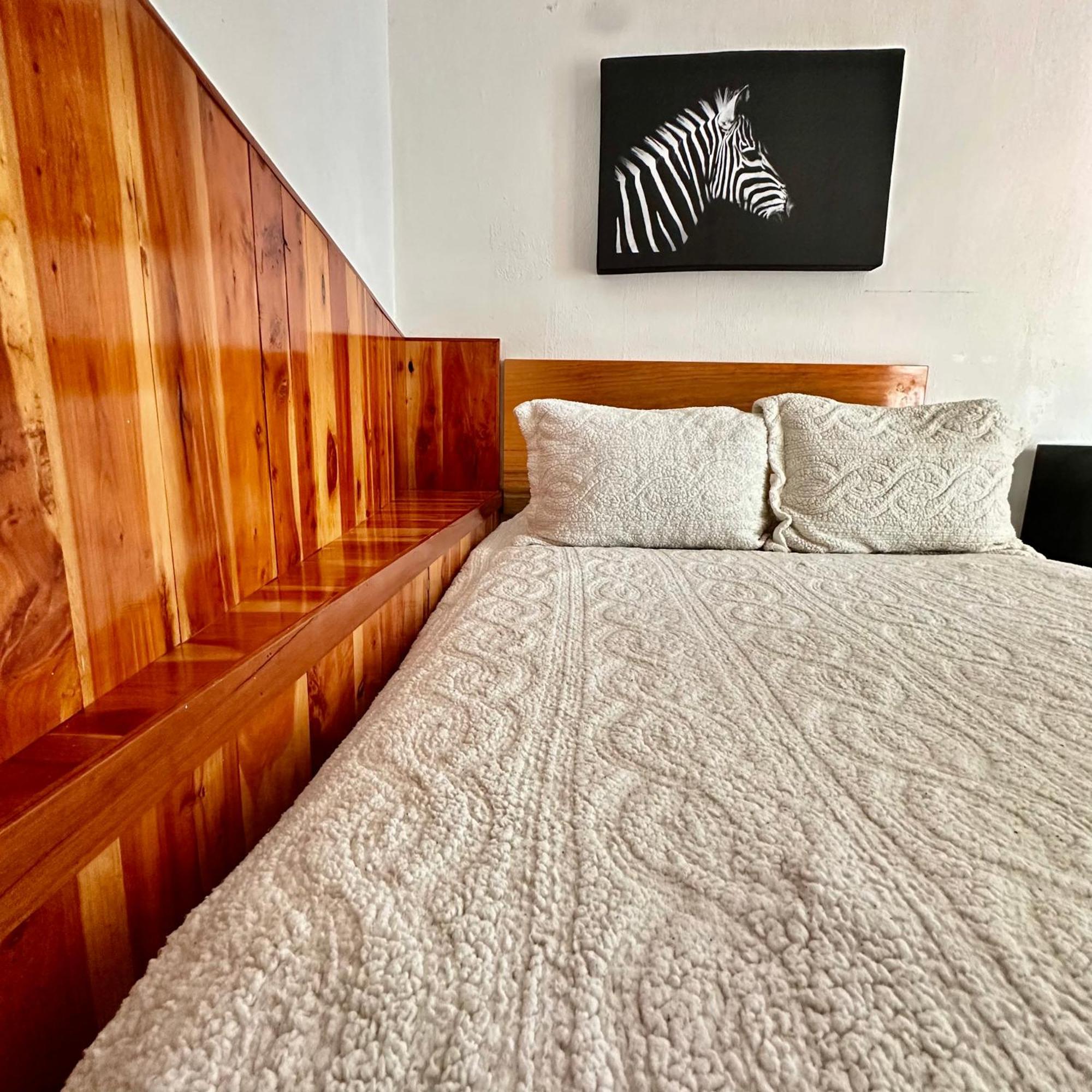 La Etelvina Suites San Cristóbal de Las Casas Buitenkant foto